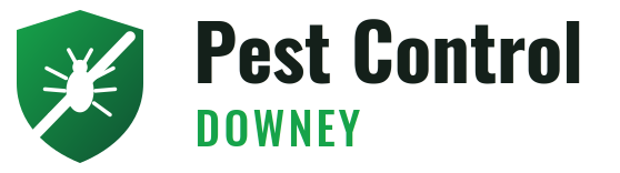 Downey Pest Control